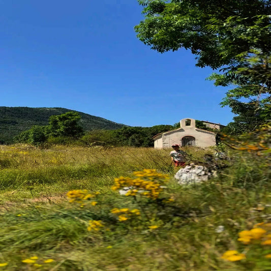 MØNARC s'agrandit pour vous accompa...
