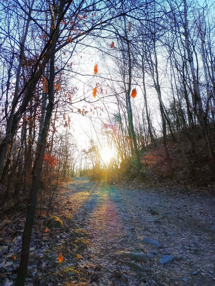 On espère que vous avez bien profité des...