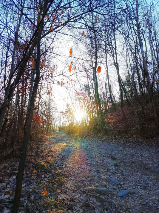 On espère que vous avez bien profité des...