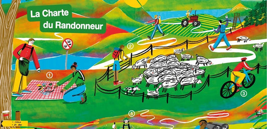 🌍💡 En matière de sport, il est rare qu...