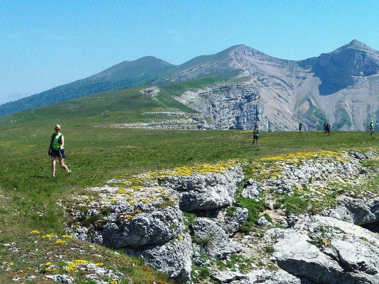 𝗖𝗲𝗿𝘁𝗮𝗶𝗻𝘀 𝘁𝗲𝗿𝗿𝗶𝘁𝗼𝗶𝗿𝗲𝘀 ...