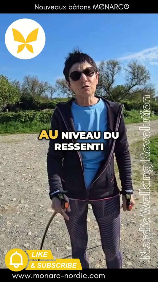 Bâtons nordiques innovants offrant ...